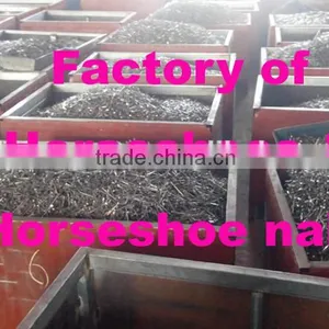 Factory Direct Selling Wholesle Steel Horseshoe Nails thumbnail-1