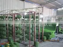 Dongyang Jiangbei Lvyi Artificial Grass Factory company overview - view 3 thumbnail