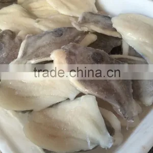 2016 Hot Top Frozen John Dory Fillet Foe Sale thumbnail-2