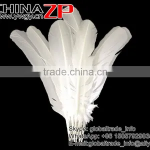 Gold Supplier CHINAZP Cheap Bulk Plume Dyed Snow White Solid Color Turkey Feather for Sale thumbnail-2