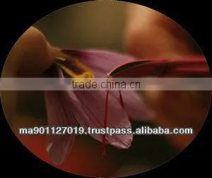 Saffron thumbnail-1