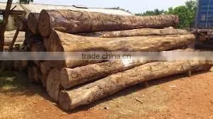 Merbau Wood thumbnail-1