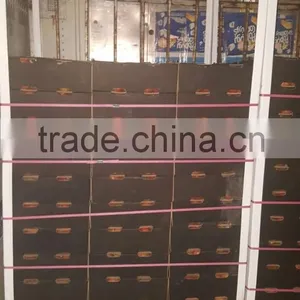 High Quality Garlic White Garlic With Good Packing thumbnail-4