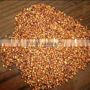 Red Sorghum With Best Price thumbnail-4