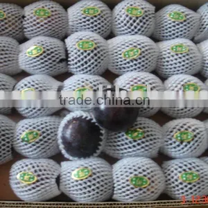 Fresh Black Plum thumbnail-1