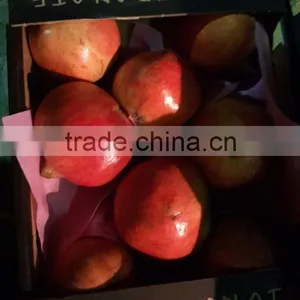 Pomegranate With Differsnt Sizes thumbnail-2