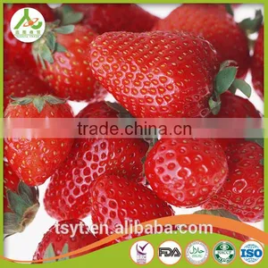 Frozen Strawberry Best Selling Products thumbnail-3