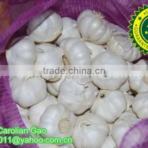 Farmland Fresh Pure White Garlic thumbnail-1
