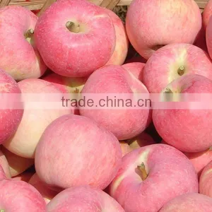 Top Grade Fuji Apple thumbnail-1