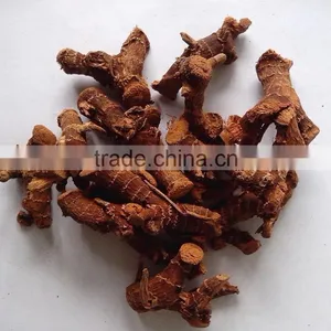 Dried Galangal thumbnail-1