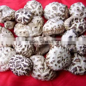 The Best Dried Flower Mushroom thumbnail-1