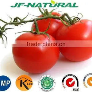 Tomato Puree Fruit Powder ISO, GMP, HACCP, KOSHER, HALAL Certificated. thumbnail-2