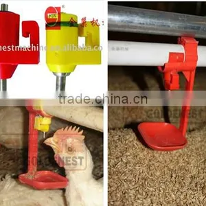 Chicken Watering thumbnail-1