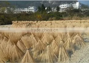 Bamboo Yantai Co., Ltd. Jinjiang company overview - view 3 thumbnail