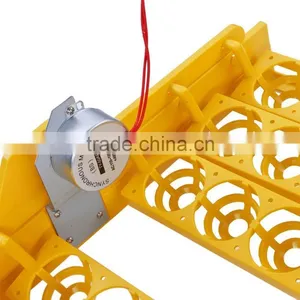 HHD Cheap Shipping 12V 110V 220V Small Poultry Chicken Farm Equipment With CE Approved thumbnail-4
