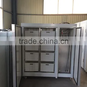 Best Selling Automatic Bean Sprout Machine/soya Bean Sprout Machine thumbnail-2