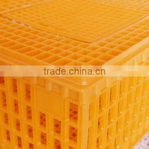 Poultry Equipment thumbnail-4