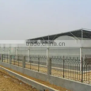 Temper Glass Greenhouse thumbnail-1