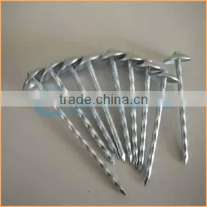 Top Quality Flat Top Yellow Coated Ring/smooth Coil Roofing Nails Trusted Chuanghe Suppliers From Com thumbnail-5