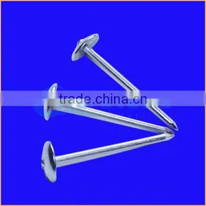 Top Quality Metal Iron Nail Type Roofing Nail With Umbrella Trusted Chuanghe Suppliers From Com thumbnail-4