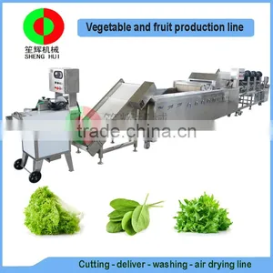 Very Popular Air Bubble Ozone Fruit and Vegetable Cutting Washing Drying Production Line, Full Automatic Machine thumbnail-1