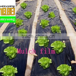 Agricultural Black Color Plastic Mulch Weed Control Mat thumbnail-1