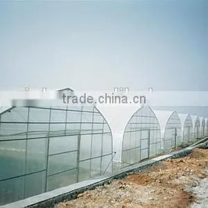 Artificial Intelligence Plastic Greenhouse thumbnail-1