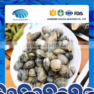 Frozen Vacuumed Variegated Clam With Full Shell Meat thumbnail-1