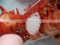 Frozen Cooked King Crab thumbnail-4