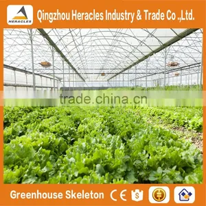 Heracles Trade Assurance Greenhouse for Sale thumbnail-3
