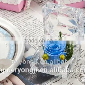 Utility Long Lasting Preserved Flower For Wedding And Valentine's Day Gift thumbnail-4