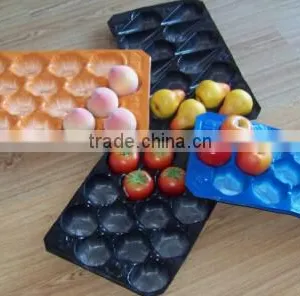 Blue Color Disposable Plastic Fruit Tray thumbnail-1