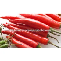 Sell Fresh Chilli thumbnail-2
