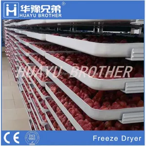 FD-35R350kgs Industrial Freeze Drying Equipment Freeze Dryer Price thumbnail-4