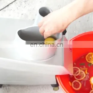 2018 Multifunction Small Vegetable Cutter Manual Vegetable Cutter on Sale thumbnail-1