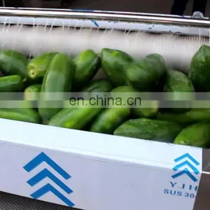 Wholesale Automatic Vegetable Irish Potato Onion Ginger Peeler Taro Radish Date Passion Fruit Peeling Machine thumbnail-1