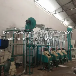 15TPD Corn Mill Grinder Ugali Making Machine Flour Mill thumbnail-2