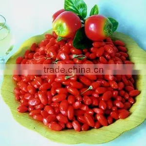 Wolfberry Extract Powder thumbnail-1