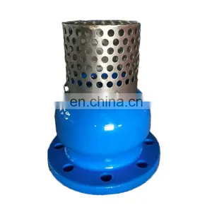 DN150 PN16 GGG50 Ductile Iron Foot Valve With Stainless Steel Strainer thumbnail-2