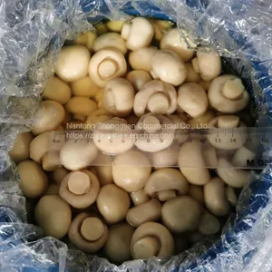 Whole Mushroom Slice Mushroom in Brine or in SO2 in Drum SETA Preservada en Tambor thumbnail-1