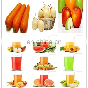 Belt Press Extractor Stainless Steel Industrial Belt Press Juicer Extractor / Double Belt Fruit Juice Extracting Machine thumbnail-2