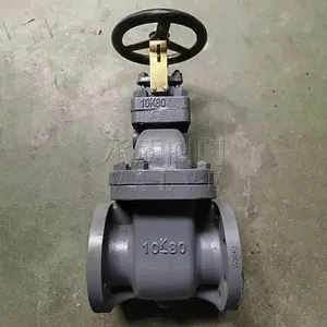 Chengzhi Jis F7366 Marine Japanese Standard Cast Steel 10k Gate Valve, Available With lr Classification Society Certificate thumbnail-1