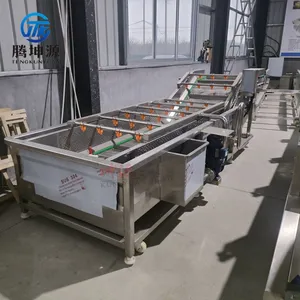 Fruit & Vegetable Bubble Washing Machine Seafood Fruit Vegetable Cleaning Equipment Vegetable Processing Line thumbnail-5