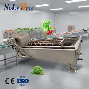 SDLEADING Bubble Washing Machine Fruit Vegetable Washing Equipments Commercial Bubble Parsley Cleaning Equipment thumbnail-4