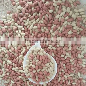 Blanched Peanut thumbnail-2