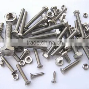 Stainless Screw thumbnail-1