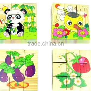 Newest 2015 Children 9pcs Cube Block 3d Wooden Puzzle thumbnail-4