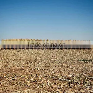 WHEAT thumbnail-1