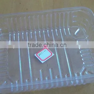 Clamshell Fruit Packaging thumbnail-1
