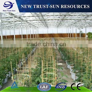 Polycarbonate/PC Multi-span Agricultural Greenhouse thumbnail-3